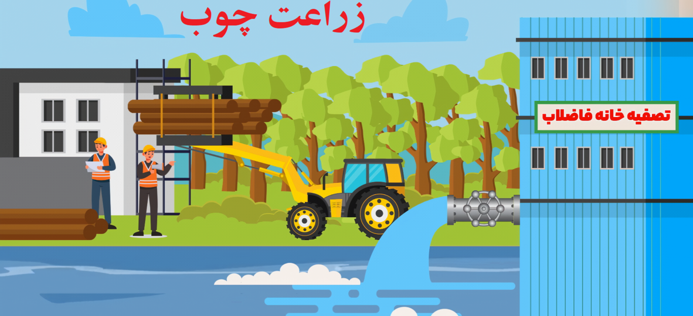 زراعت چوب