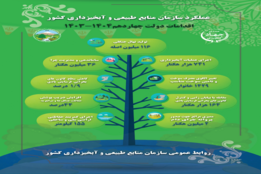 اینفوگرافیک