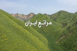 گالری فیلم