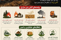اینفوگرافیک