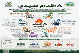 اینفوگرافیک
