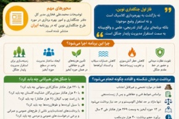 اینفوگرافیک