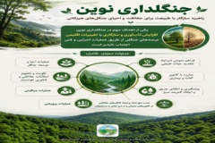 جنگلداری نوین / معرفی عملیات محوری برای افزایش تاب آوری و سازگاری با تغییرات اقلیمی