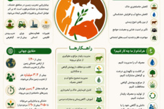 روز جهانی مقابله با بیابانزایی