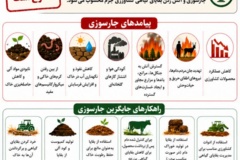 جارسوزی / آتش زدن بقایای گیاهی
