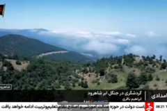 گردشگری در جنگل ابر شاهرود