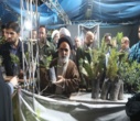 گزارش تصویری/ توزیع نهال در موکب شهدای سازمان منابع طبیعی و آبخیزداری کشور در میدان انقلاب تهران