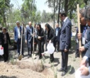 ادای احترام سفرا و نمایندگان سازمانهای بینالمللی به شهدای سازمان منابع طبیعی در جنگ رمضان