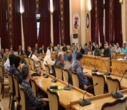 بررسی ابعاد ماده ۳۶ برنامه هفتم و طرح «جنگل‌داری نوین» در نشست تخصصی باغ موزه نگارستان/ تأکید بر بهره‌گیری از خردجمعی در اجرای تکالیف برنامه هفتم توسعه