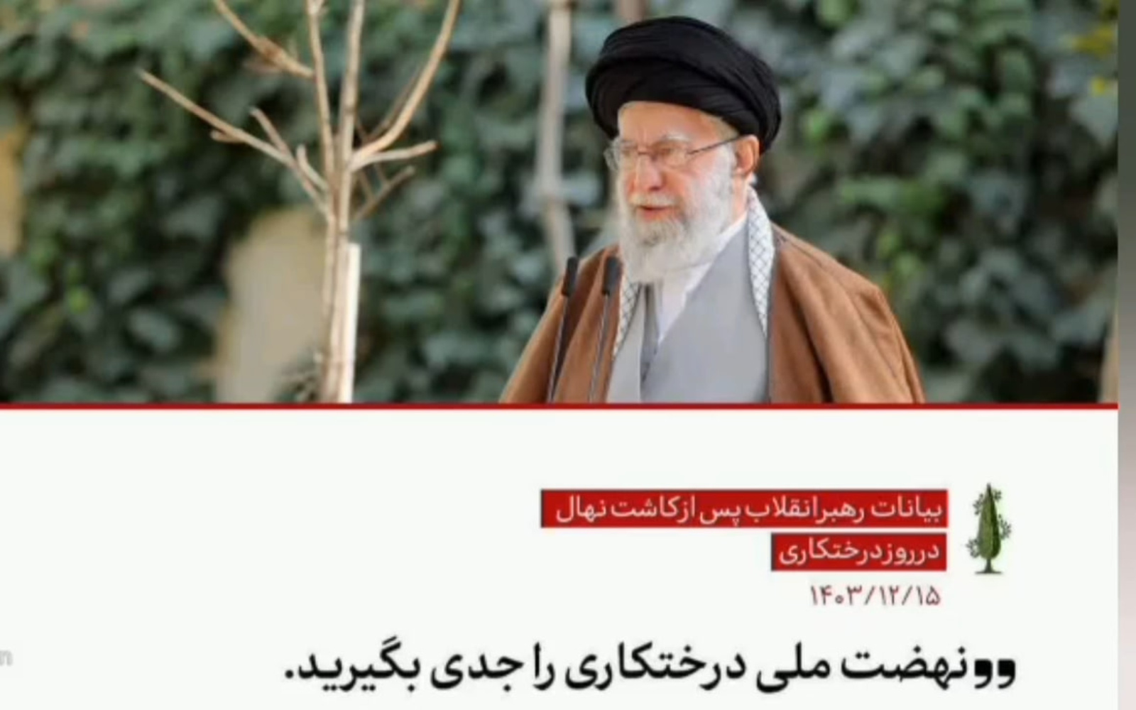 یادگار سبز رهبر شهید