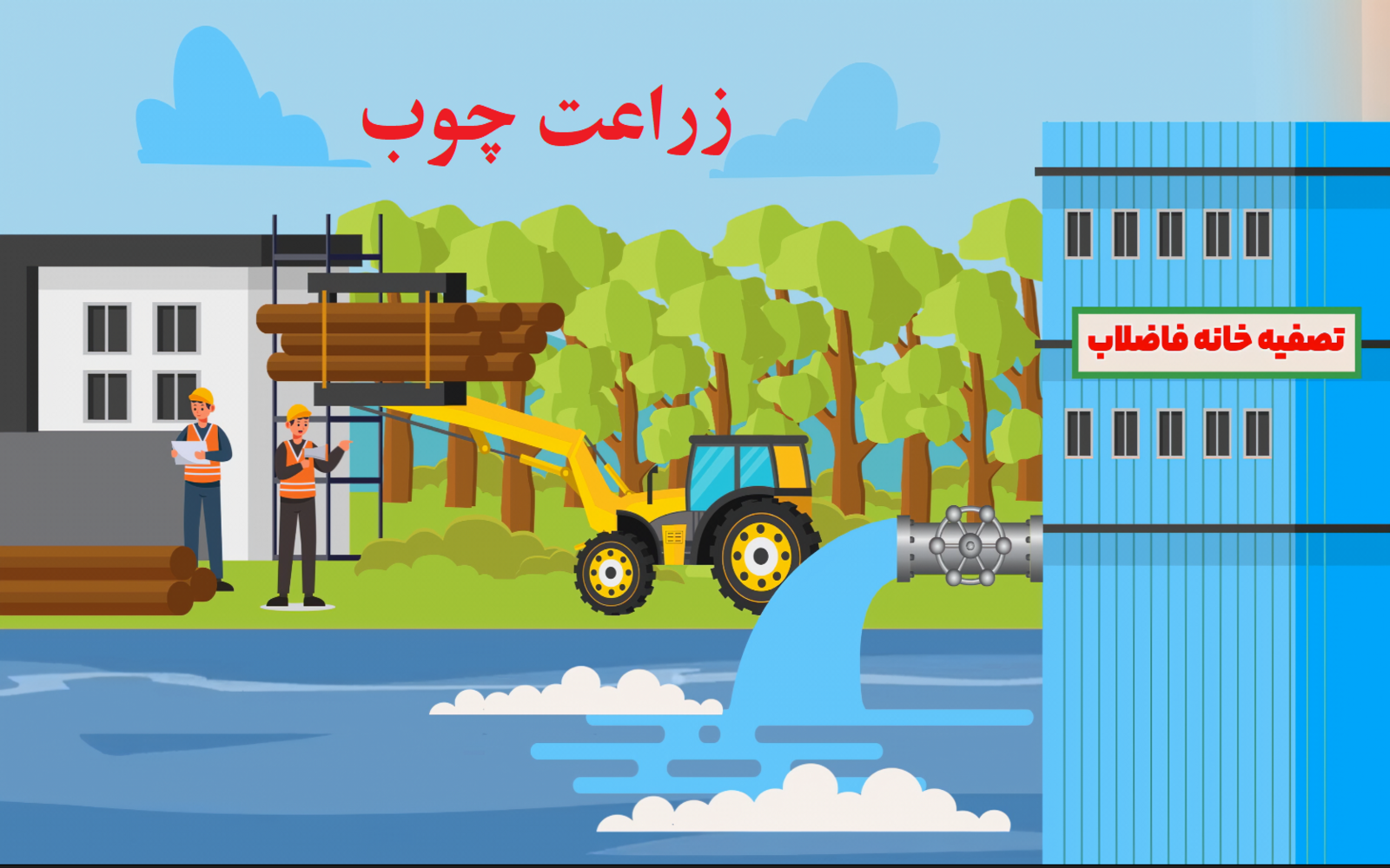 زراعت چوب