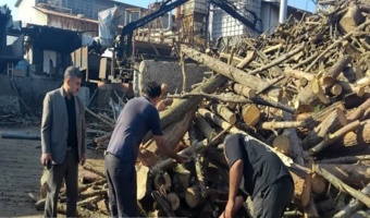 ضرب‌شست منابع طبیعی مازندران به قاچاقچیان چوب در نکا