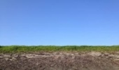 Getting landscape approaches off the ground, on the ground 