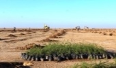 22 هزار هکتار عملیات بیابان زدائی در انتظار تخصیص اعتبار می باشد