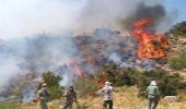 سرباز وظیفه در جریان مهار آتش سوزی در ایلام جان باخت