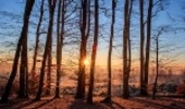 UNECE, FAO Report Presents Payment for Ecosystem, Watershed Services Schemes for Forests 