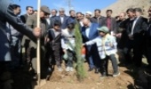 2500 اصله نهال با حضور استاندار کرمانشاه غرس شد 