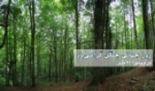 اولین روز بهار؛ روز جهانی جنگل