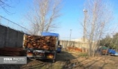 تحویل 3 قاچاقچی چوب آلات جنگلی رودبار به مقامات قضایی