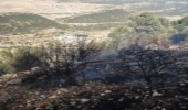 کاهش ۹۰ درصدی آتش سوزی در منابع طبیعی جنوب کرمان