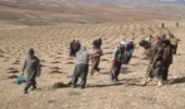 Government Pave the Way for the Further Involvement of Local Communities in Natural Resources Management