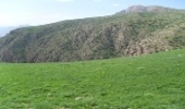میزان تولید علوفه در مراتع خراسان شمالی به ۱۳۰ هزار تن رسید