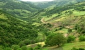 نوشهر/واحدهای منابع طبیعی نوک پیکان حفاظت از منابع طبیعی است