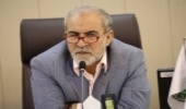 جنگل، بدون برداشت چوب باید روی پای خودش بایستد