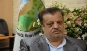 ۷۰ تن چوب قاچاق در شهرستان شاهرود کشف شد