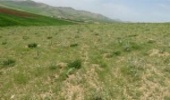 هرمزگان / پایان 3 پروژه بخش مرتع از محل صندوق توسعه ملی 