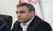 مجری توسعه زراعت چوب: مکلف به زراعت چوب در ۷۵ هزار هکتار از اراضی کشور هستیم