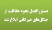 دستورالعمل نحوه حفاظت از جنگل‌های هیرکانی ابلاغ شد