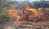 مهار آتش‌سوزی کوه بیرمی در تنگستان 