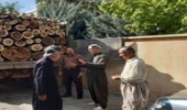 محموله ۶ تُنی چوب قاچاق در سقز کشف شد
