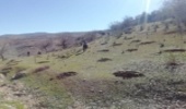 اجرای 2400 هکتار توسعه جنگل، مراقبت و آبیاری در خوزستان
