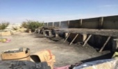 قاچاقچیان چوب در البرز به دام افتادند