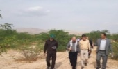 دهلران از مناطق پیشرو در توسعه جنگل کاری است