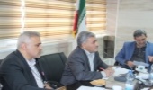 تأکید بر استفاده از تجارب و دستاوردهای تحقیقاتی داخلی و خارجی برای نجات شمشاد