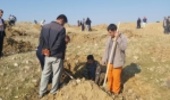 کاشت ۱۴۰ هزار اصله نهال در کهگیلویه و بویراحمد