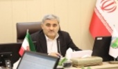 نهالکاری‌ها تا اسفندماه ادامه می یابد