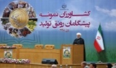 تاکید رییس جمهور بر توسعه زراعت چوب در کشور