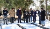 نهالستان بزرگ منابع طبیعی البرز ظرفیت بالایی برای تامین نهال سایر استان‌ها دارد