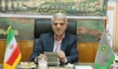 زراعت 460 هکتار چوب در مازندران/ 1.9 میلیون اصله نهال تولید شد