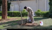 رهبر معظم انقلاب اسلامی به مناسبت روز درختکاری دو اصله نهال غرس کرد