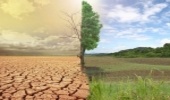 ۷۶ میلیارد ریال اعتبار طی سال ۹۸ برای بیابان زدایی در مرکزی صرف شد