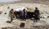 ناکام ماندن بهره برداران غیر مجاز فرآورده گیاه دارویی آنغوزه در لارستان