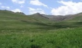 بارندگی تولید علوفه در مراتع غرب مازندران را افزایش داد