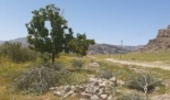 برخورد قاطع یگان حفاظت منابع طبیعی شهرستان بیضا با متصرفین اراضی ملی