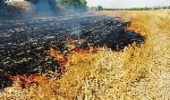 خوزستان/ آتش را به جان پوشش گیاهی مرتعی نیندازیم