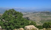  منابع طبیعی جنوب کرمان برای مهار هرگونه حریق در مراتع آماده است